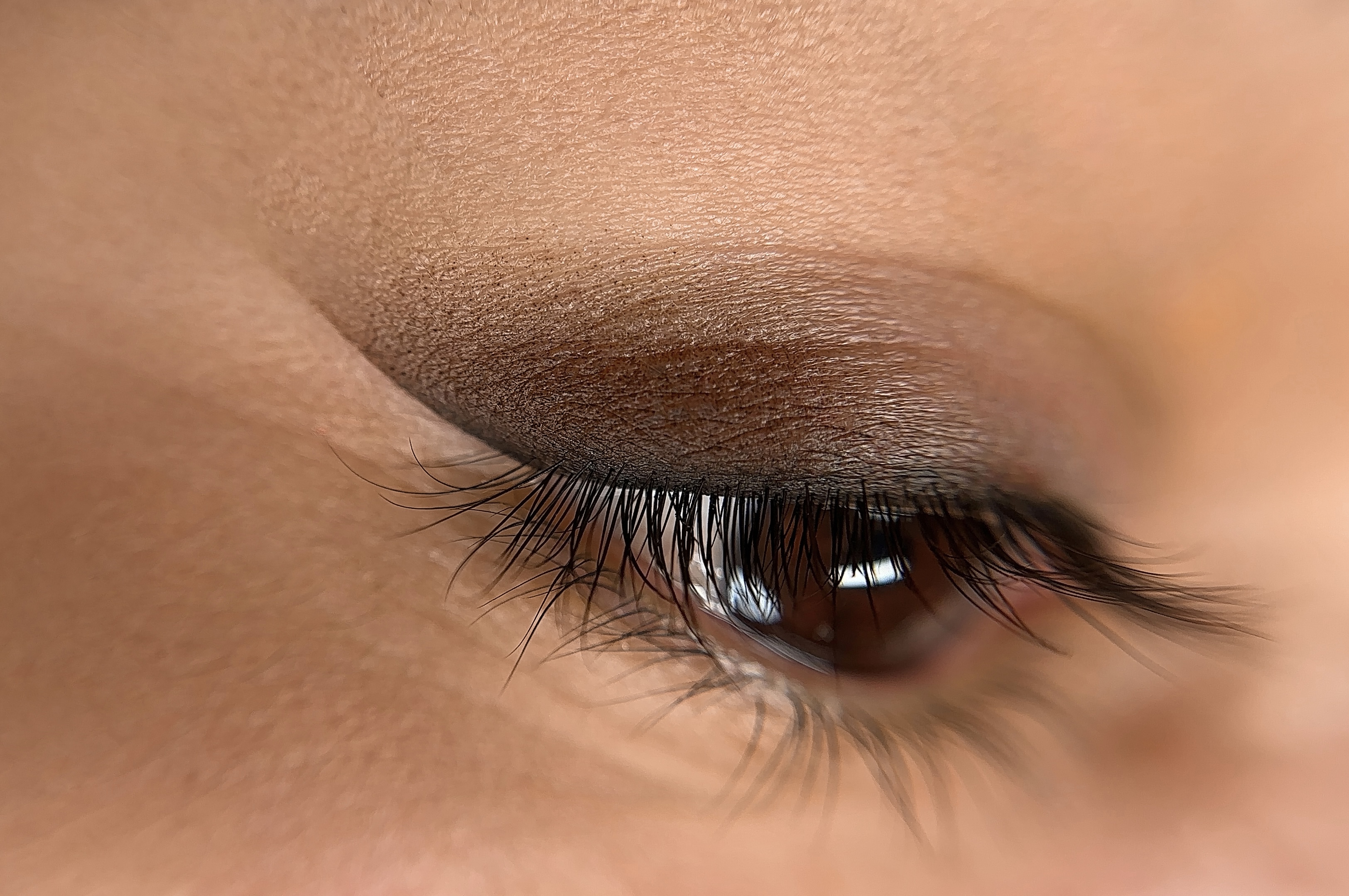 Champion Shadow Liner